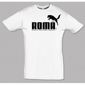 Camiseta ROMA. Rómulo y Remo